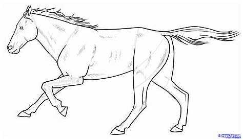 Flying Horse Drawing For Kids Coloring Pages At Gets Free Download