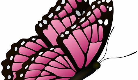 Transparent Background Pink Butterflies Clipart - Butterfly Clipart