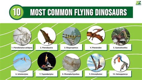 flying dino names