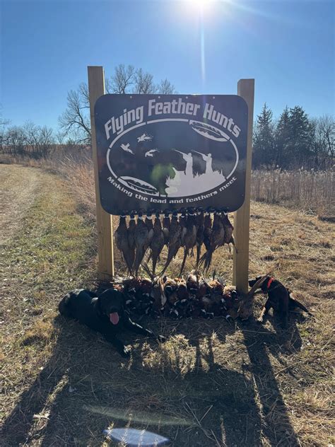 Flying Feather Hunts