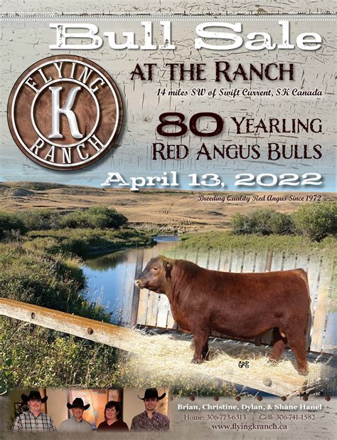 flying k ranch angus