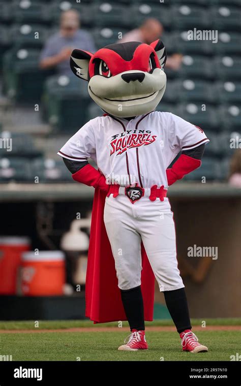 Flying Squirrels Baseball