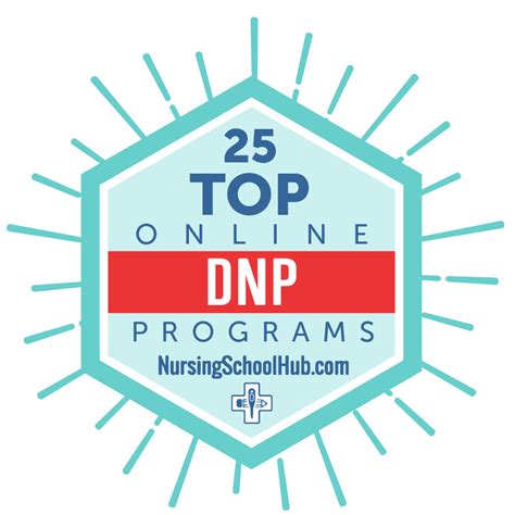fnp to dnp programs online best