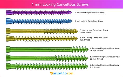 fns vs cancellous screws