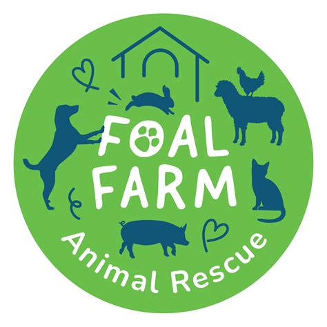 Foal Farm