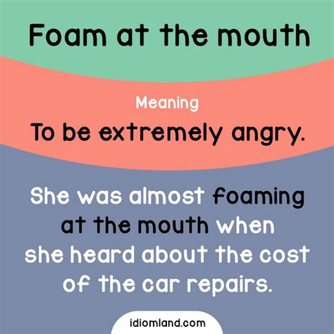 foam at the mouth idiom meaning