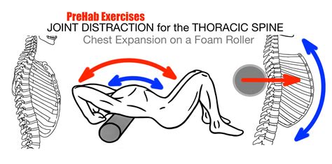 Foam Roller Exercises For Chest