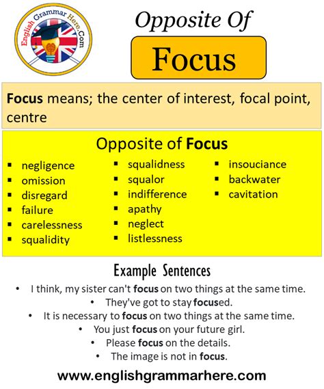 Focus Opposite Noun