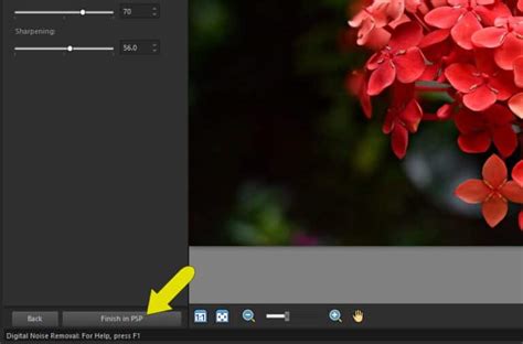 Focus Stacking Paintshop Pro 2018