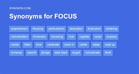 focus synonym verb