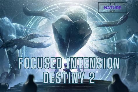 focused intention destiny 2