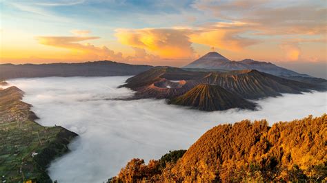 Fog Artinya in Indonesia