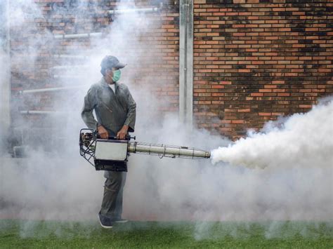 Fogging Of Mosquito