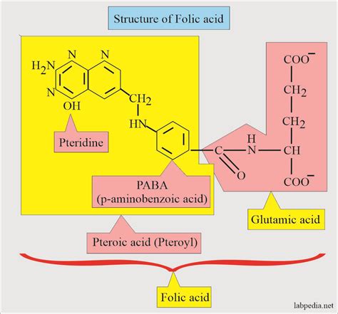 Folate Vs Folic Acid Structure