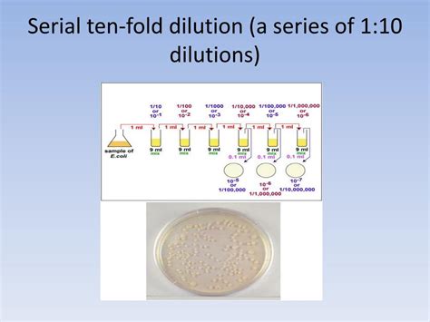 Fold Dilution Units