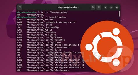 Folder File Size In Ubuntu