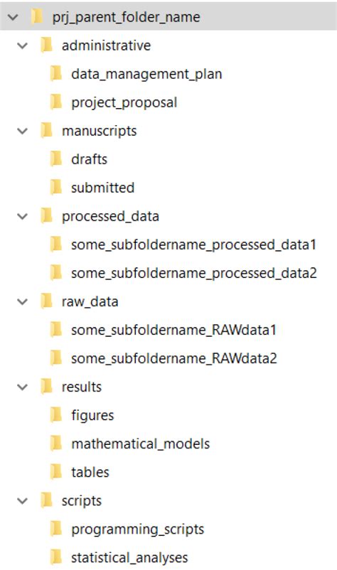 folder structure examples