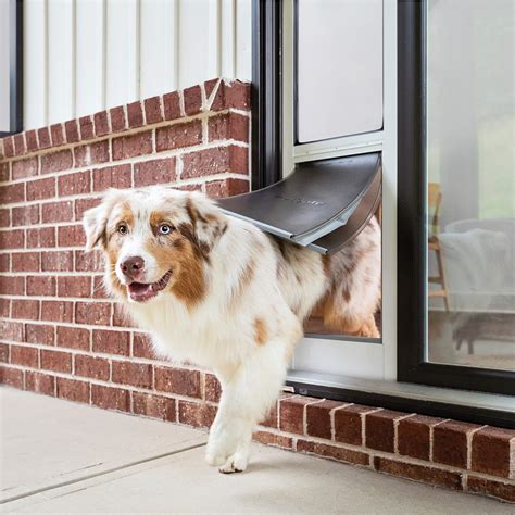 folding glass doors with dog door 94inches wide