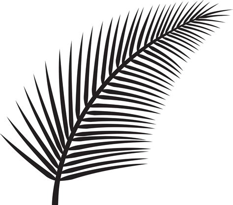 folha de palmeira para imprimir