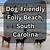 folly beach dogs rules