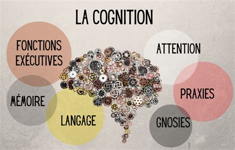 fonctions cognitives