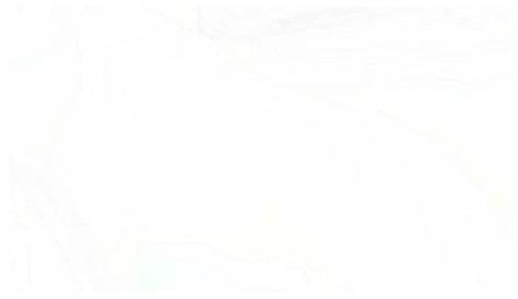 Fond Blanc 2048x1152 Jpg 2048×1152 s D Ecran 3840×2160 Cheval
