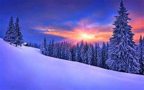 Fondos Paisajes De Invierno: Explorando La Belleza Escénica Del Invierno