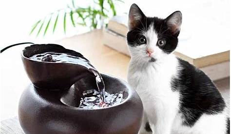 Fontaine A Eau Chat Design À Pour En Céramique 3,4L Miaustore Milk
