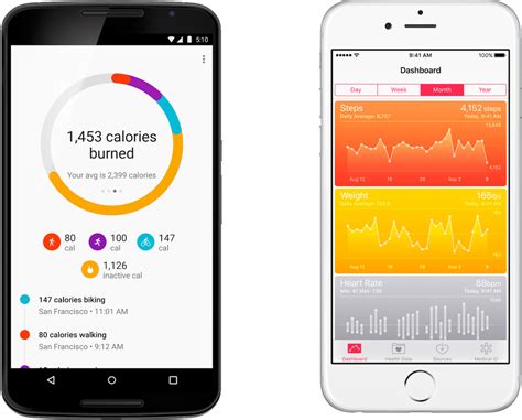 Sale > best food exercise tracker app > in stock