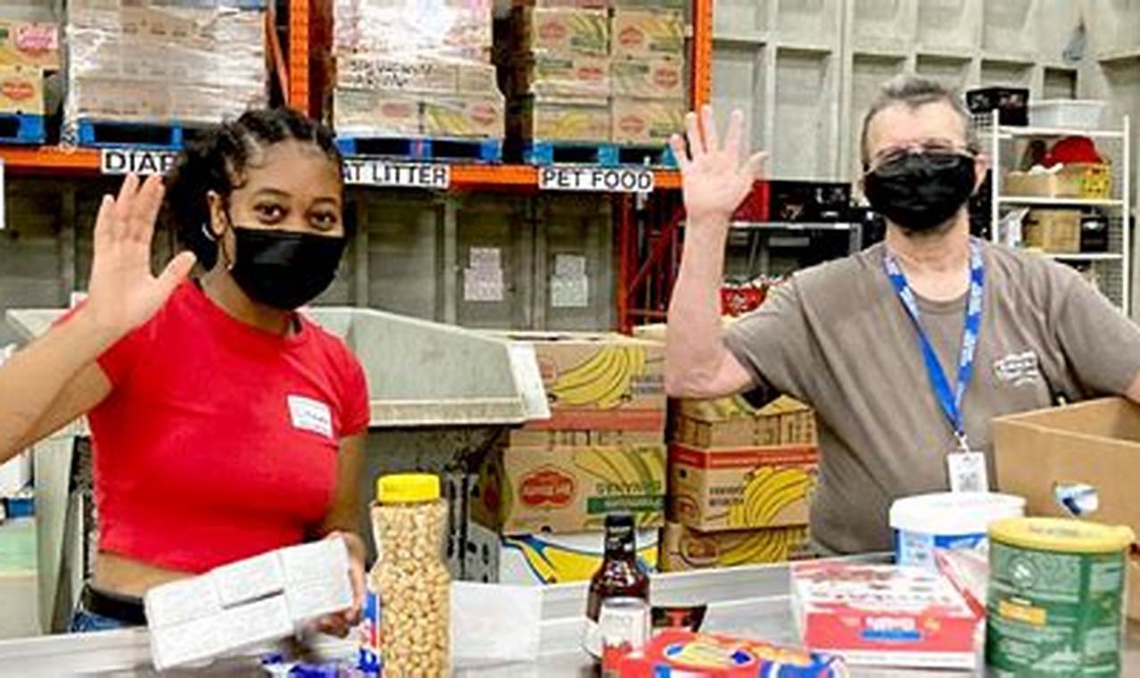 Food Bank Volunteers: Making a Difference in the Fight Against Hunger