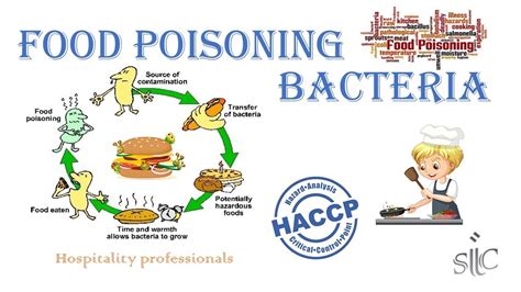Food poisoning bacteria what is
