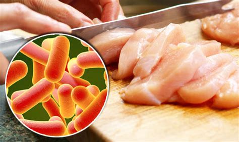 Food poisoning symptoms from raw chicken