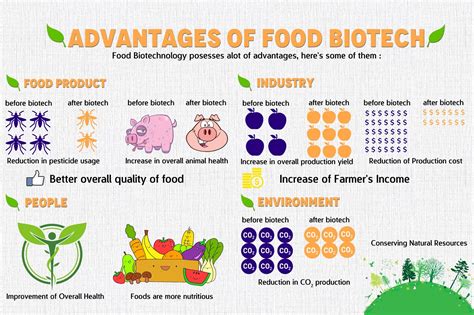 Food Biotechnology Examples