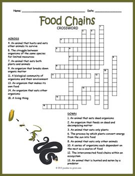 food chain crossword puzzle worksheet answers