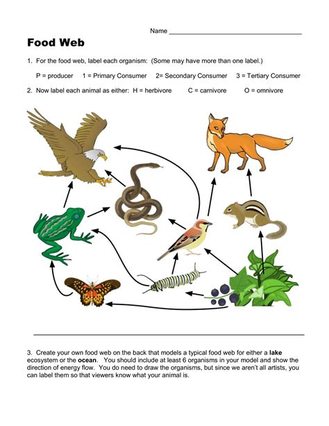 food chain web worksheet pdf