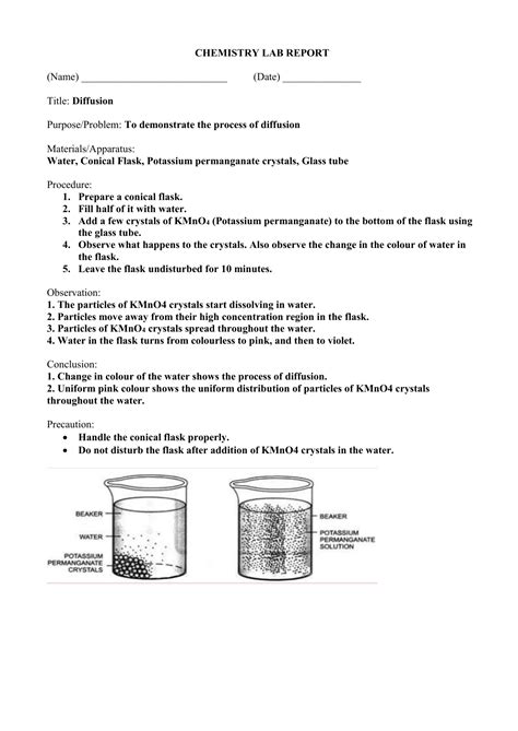 Food Coloring Diffusion Lab Report