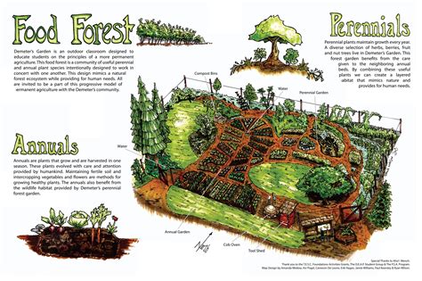 food forest explained