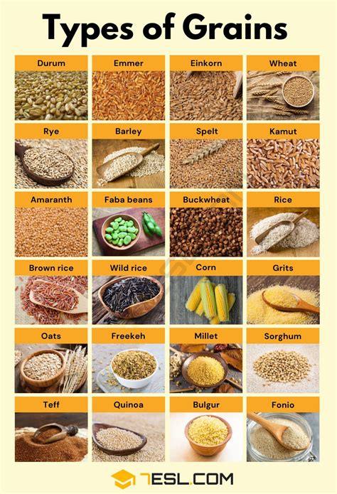food grains pictures with names