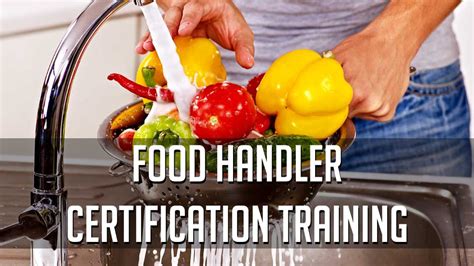 food handling certificate course