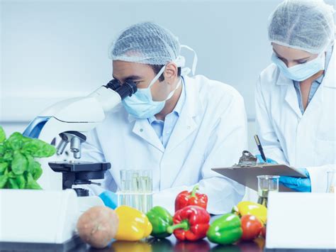 food industry science and technology