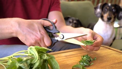 Food Network Kitchen Scissors