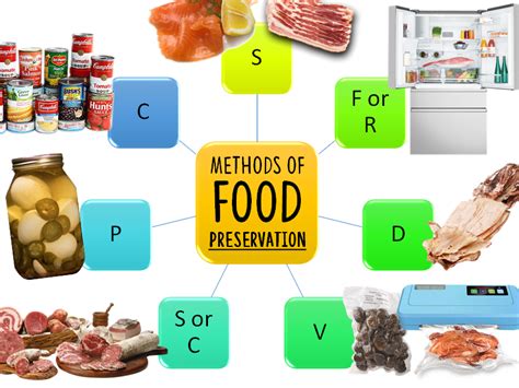 Food Preservation Methods Activity
