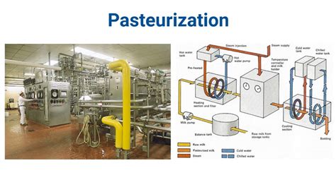 Food Process Engineering Pasteurization