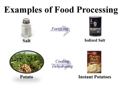 Food Processing And Examples