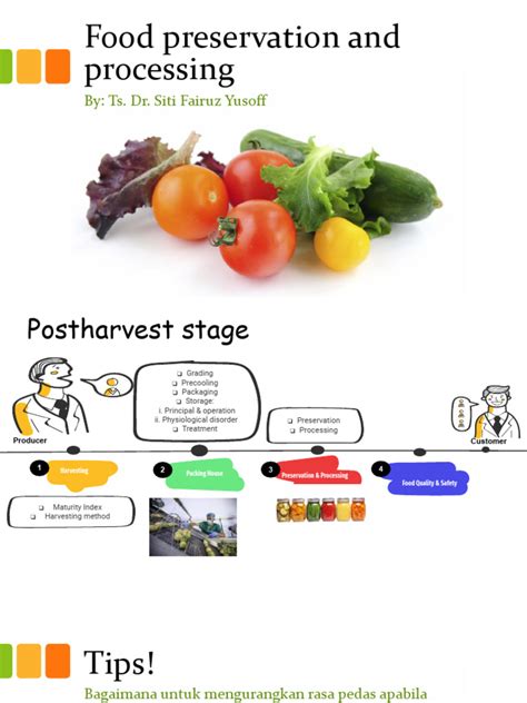 Food Processing And Preservation Visual Presentation