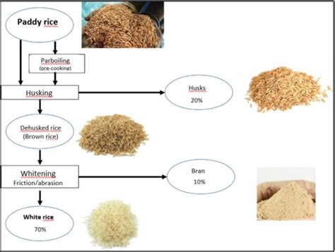 Food Processing Rice