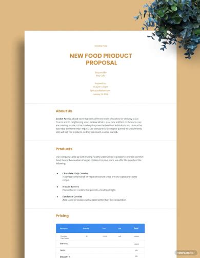 Feasibility Study Product Proposals