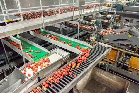 food production processing