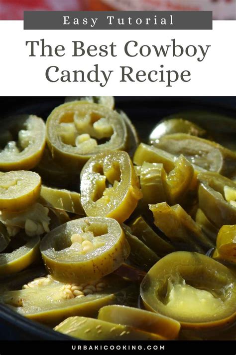 food recipes examples tutorial guide tutorial tutorial tips tutorial tutorial tutorial guide