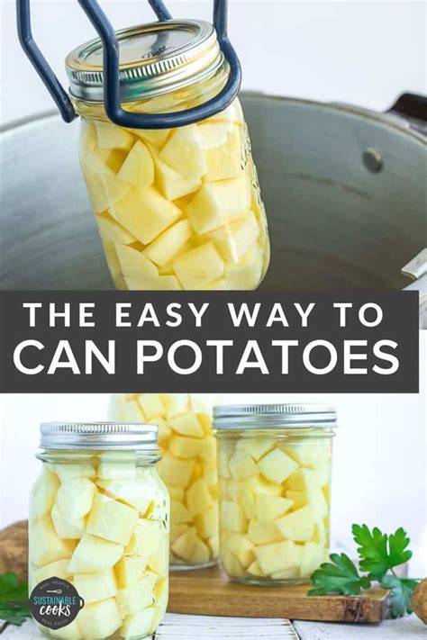 food recipes examples tutorial tutorial tutorial examples tips tutorial guide tutorial